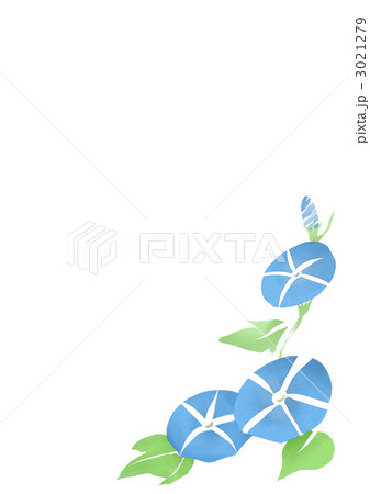 アサガオ アサガオ 3021279