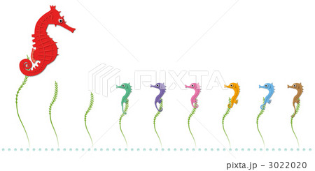 タツノオトシゴの親子 3022020