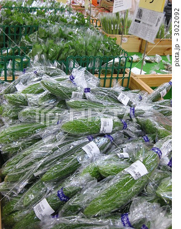 産地直売 3022092