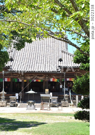 野間大坊 本堂 野間大坊 本堂 3022338