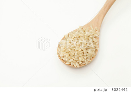 玄米 玄米 3022442