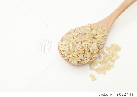 玄米 3022443