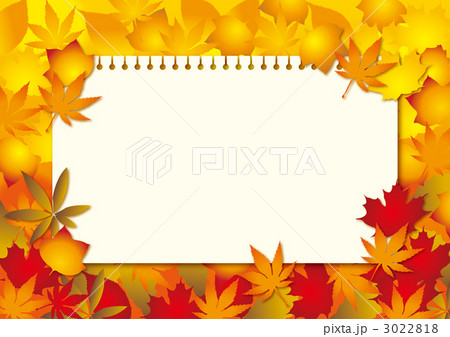 紅葉 紅葉 3022818