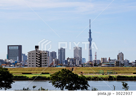 荒川の川原より東京スカイツリーと千住の住宅街を臨む  3022937