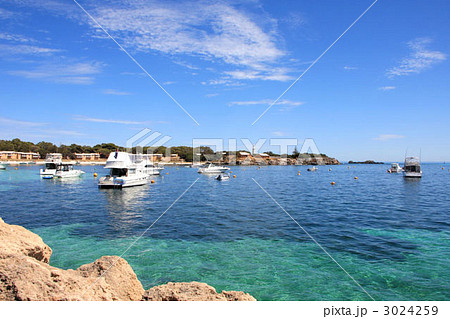 オーストラリア・ロットネスト島 3024259