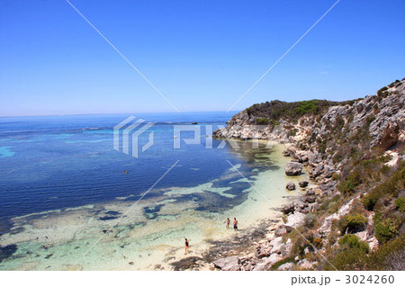 オーストラリア・ロットネスト島 3024260