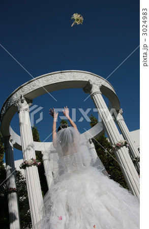 ブーケトス 3024983