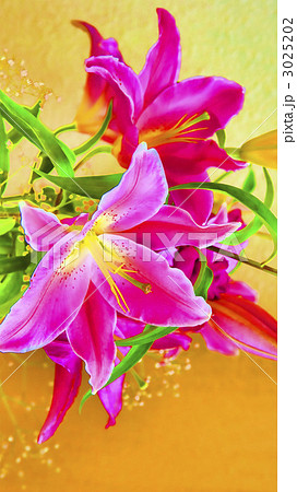 待受用デジタル写真画像(CG) 待受用デジタル写真画像(CG) 3025202