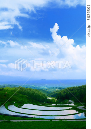 扇棚田 3026301