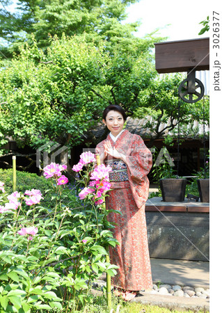 和服女性・古民家 3026377