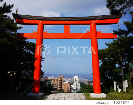 北海道　函館護国神社 3027874