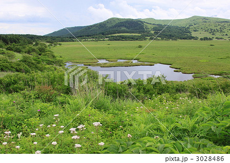 爽やかな霧ヶ峰高原八島湿原 3028486