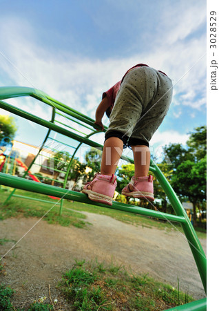 ウンテイ3 ウンテイ3 3028529