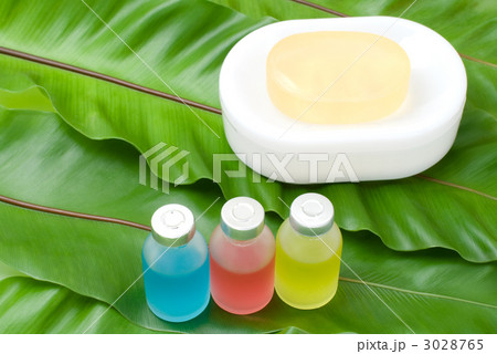 エステイメージ 3028765