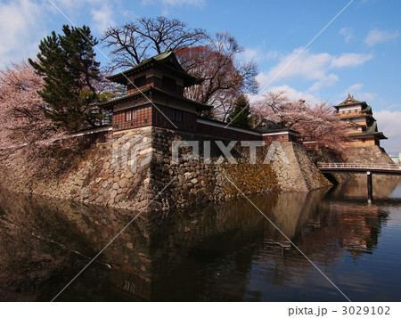 桜咲く高島城 3029102