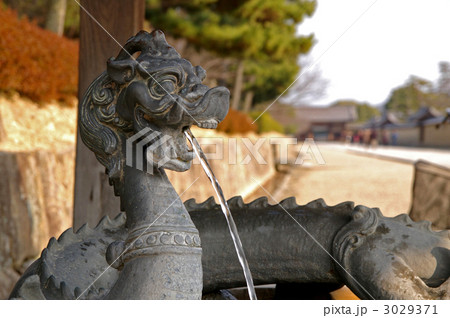法隆寺の手水舎 3029371
