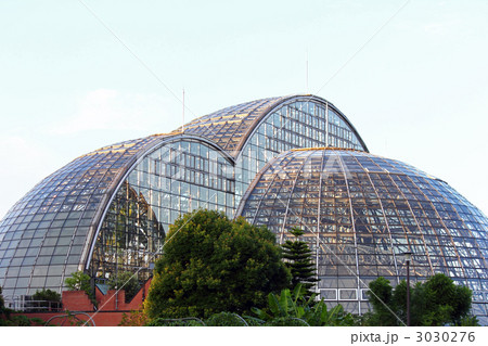 夢の島熱帯植物館 夢の島熱帯植物館 3030276