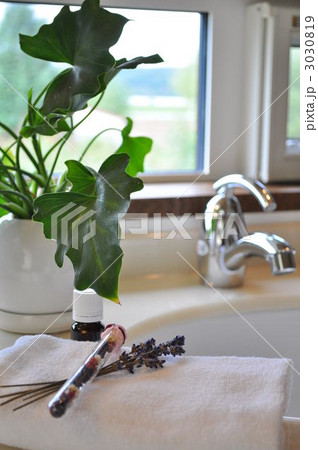 ラベンダーの香り 3030819