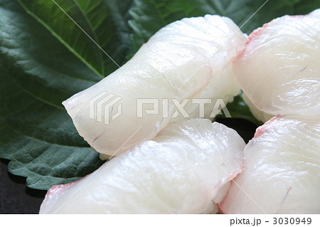 鯛とカンパチの握り鮨 3030949