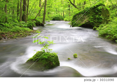 奥入瀬渓流① 奥入瀬渓流① 3031090