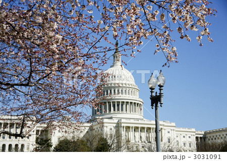 ワシントンDCにて ワシントンDCにて 3031091