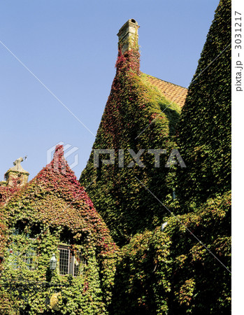 世界遺産の町　ブルージュ 3031217