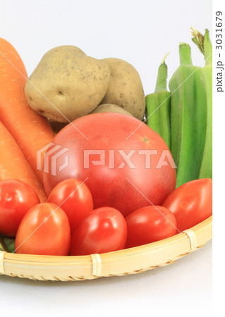 野菜各種 3031679