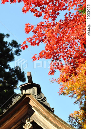 秋の横蔵寺 3033066