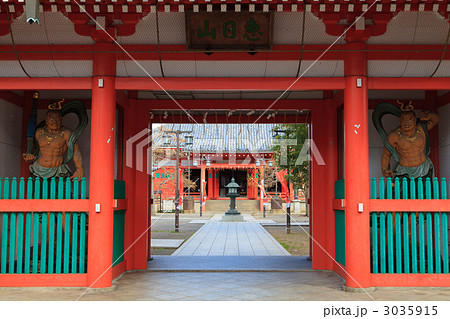 津観音・仁王門から本堂を望む 3035915