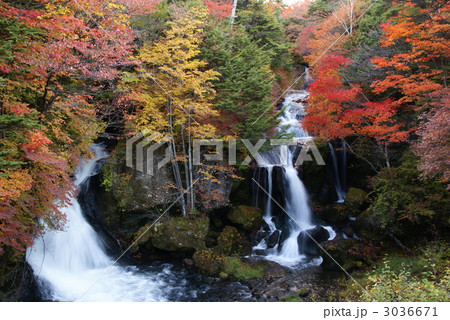 紅葉 (奥日光・竜頭の滝) 紅葉 (奥日光・竜頭の滝) 3036671
