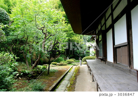 鎌倉五山第五位の浄妙寺を訪れて 3036847