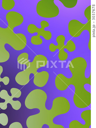 3037678
