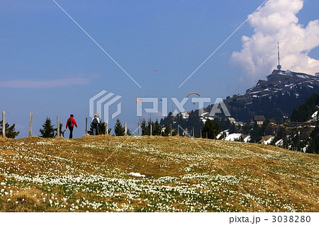 アルプスでパラセイリング 3038280