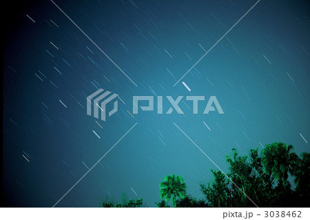 母島/評議平グラウンドより、沈むおおいぬ座 母島/評議平グラウンドより、沈むおおいぬ座 3038462