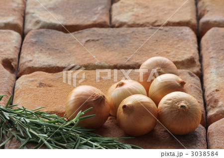 ペコロスとローズマリー 3038584
