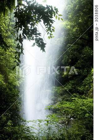 次の滝 3038806