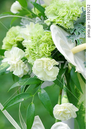 カーネーションのブーケ 3039252