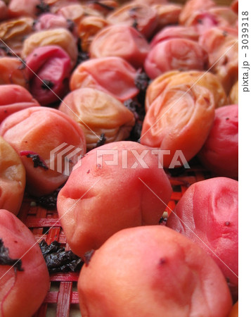 梅干し　南高梅 3039318