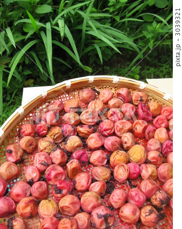 梅干し　南高梅 3039321