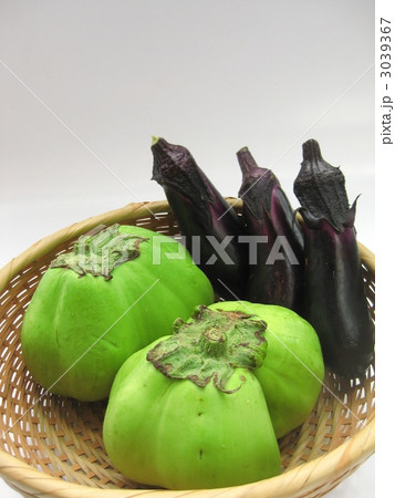 埼玉青大丸茄子 埼玉青大丸茄子 3039367