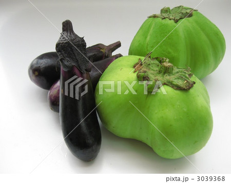 埼玉青大丸茄子 埼玉青大丸茄子 3039368