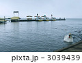 ボートと白鳥 3039439