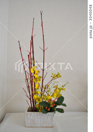 生け花 生け花 3040048