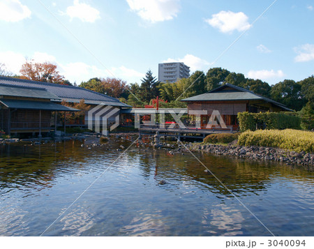 秋の白鳥庭園 3040094