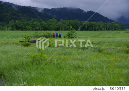 雨模様の尾瀬ヶ原　尾瀬ヶ原散策のシニア 3040535