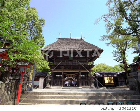 青井阿蘇神社 青井阿蘇神社 3041310