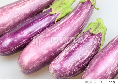 パープルクララ パープルクララ 3041449