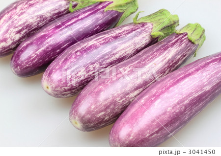 パープルクララ 3041450