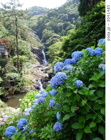 見帰りの滝 3041485