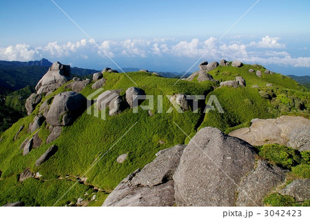 世界遺産・夏の屋久島 世界遺産・夏の屋久島 3042423